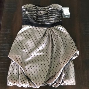 NWT Gorgeous Dress - Champagne & Black